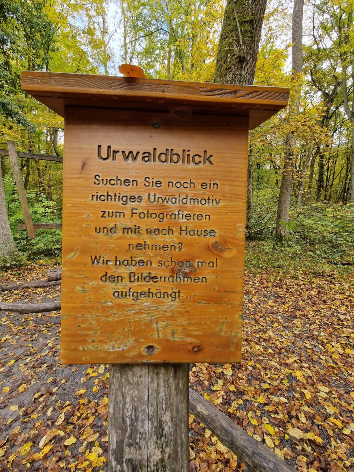 B&B Talstation Horselberg-Hainich Eksteriør billede
